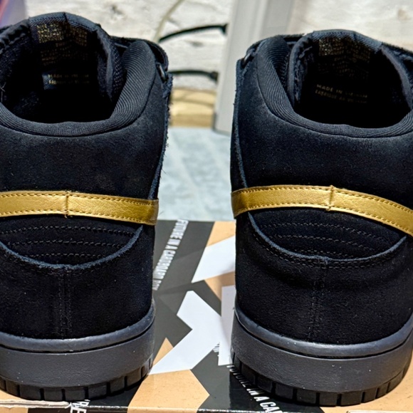 DS Size 11.5 Rare Nike Dunk Mid Pro SB \